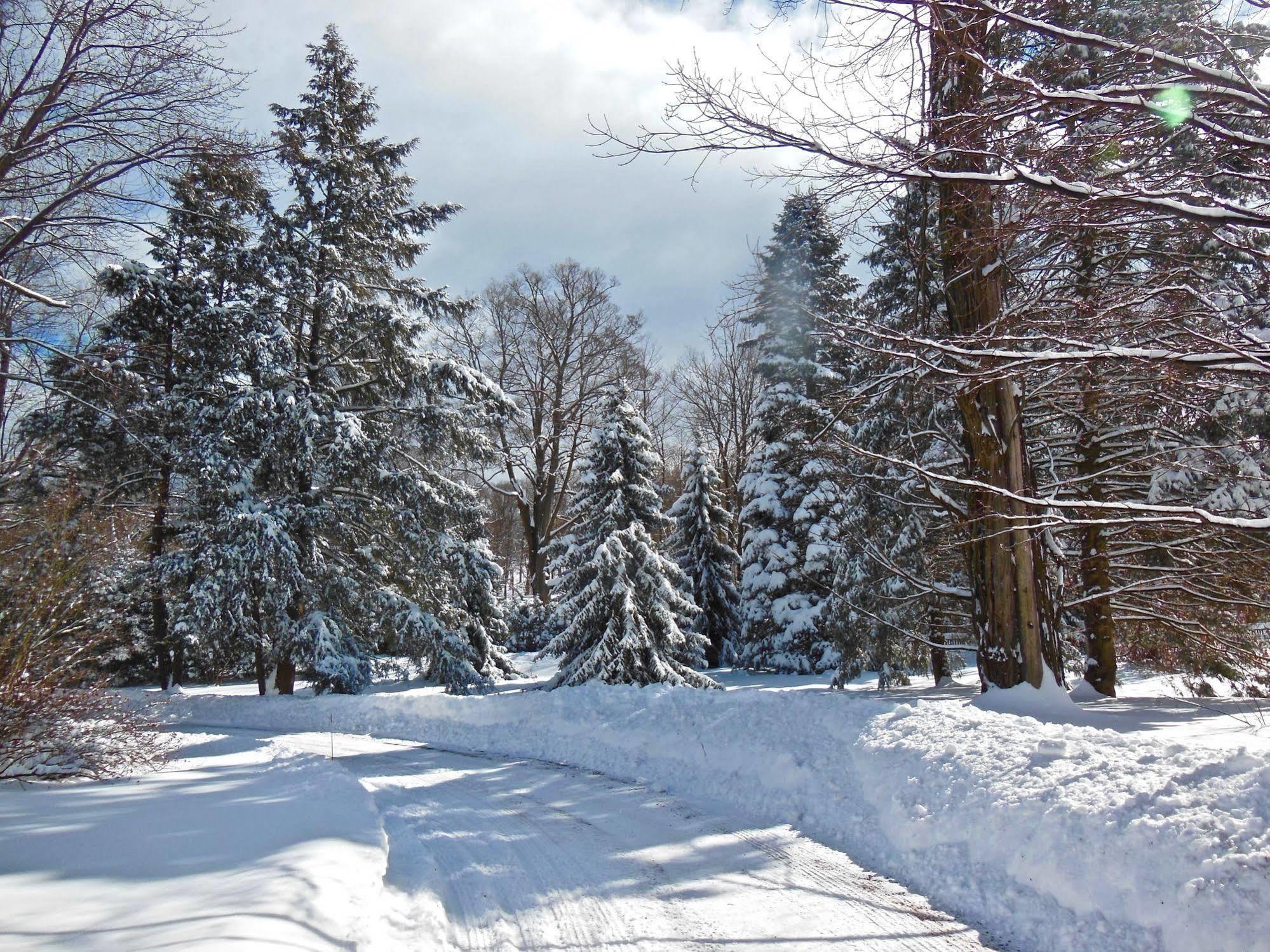 Millbrook Country House Zewnętrze zdjęcie